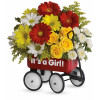 Baby Girl Wow Wagon: Traditional
