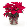 6 Inch Classic Poinsettia with Hand Tied Bow: Upgraded with holiday accents 