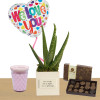 You is Kind Aloe Vera Plant Box: Add Fresh Strawberry Scented Candle