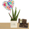 You is Kind Aloe Vera Plant Box: Aloe Vera Plant,  Medium Box of Chocolates plus a We Love You Day Balloon