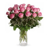 Pink Roses with Caspia: Fancy