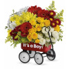 Baby Boy Wow Wagon: Premium