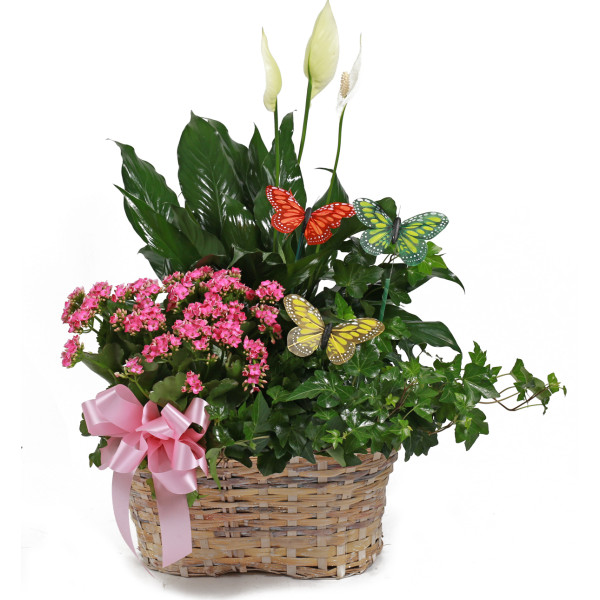 Large Blooming Garden Basket